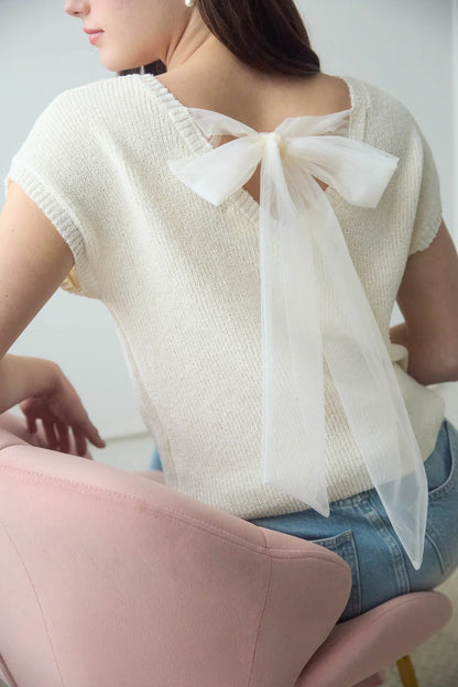 Back Sheer Tie Short Sleeve Knit Sweater