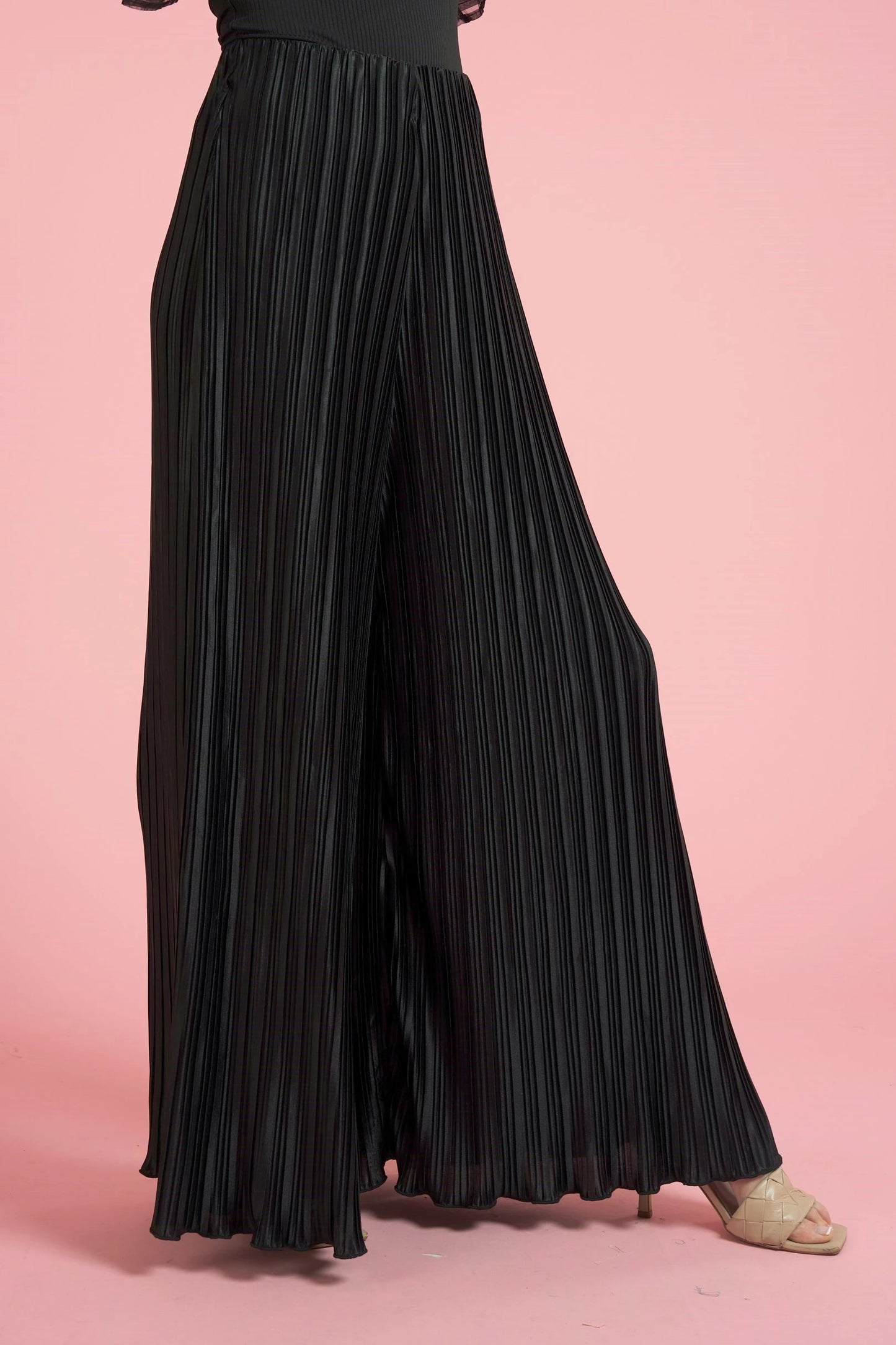 Wide Leg Pleated Pants